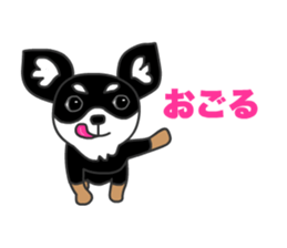 Chihuahuas Eliot sticker #12967026