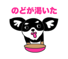Chihuahuas Eliot sticker #12967028