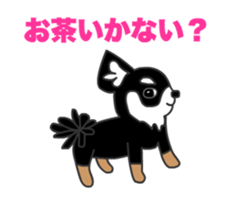 Chihuahuas Eliot sticker #12967029