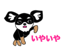 Chihuahuas Eliot sticker #12967036