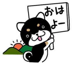 Daily black Shiba sticker #12967438