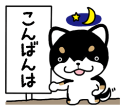 Daily black Shiba sticker #12967440