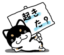 Daily black Shiba sticker #12967441