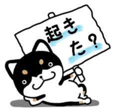 Daily black Shiba sticker #12967441