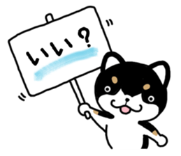 Daily black Shiba sticker #12967442