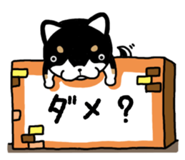 Daily black Shiba sticker #12967443