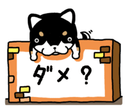 Daily black Shiba sticker #12967443