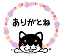 Daily black Shiba sticker #12967444