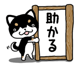 Daily black Shiba sticker #12967445