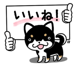 Daily black Shiba sticker #12967446