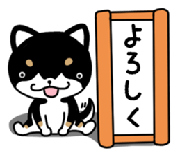 Daily black Shiba sticker #12967453