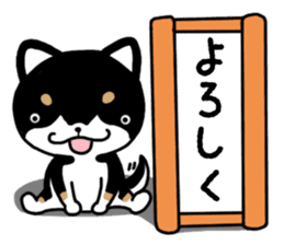 Daily black Shiba sticker #12967453