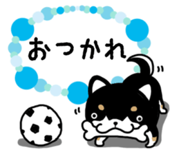 Daily black Shiba sticker #12967458