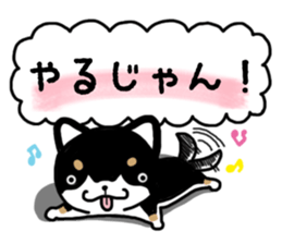 Daily black Shiba sticker #12967460