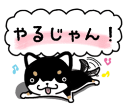 Daily black Shiba sticker #12967460
