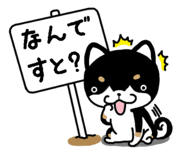 Daily black Shiba sticker #12967471