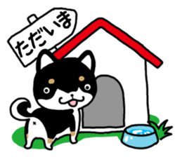 Daily black Shiba sticker #12967475