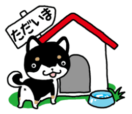 Daily black Shiba sticker #12967475