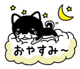 Daily black Shiba sticker #12967476