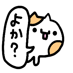 fukuoka hakata of cat