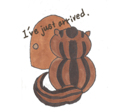 plump cute squirrel - English Ver. sticker #12969165