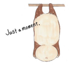 plump cute squirrel - English Ver. sticker #12969167