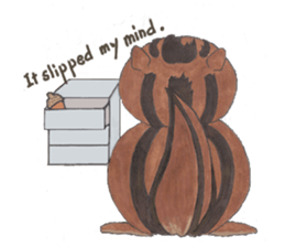 plump cute squirrel - English Ver. sticker #12969169