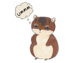 plump cute squirrel - English Ver. sticker #12969184