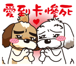 2 Shih Tzu Brothers-Part3 sticker #12969454