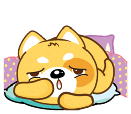 Ruma handsome + sticker #12970474