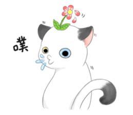 Play with me meow sticker #12971067