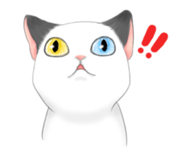 Play with me meow sticker #12971069