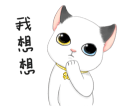 Play with me meow sticker #12971071