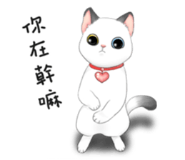 Play with me meow sticker #12971074