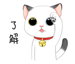 Play with me meow sticker #12971077