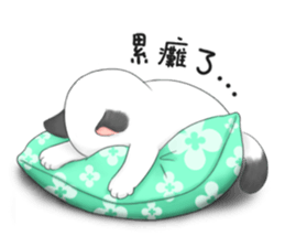 Play with me meow sticker #12971080