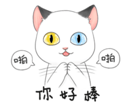 Play with me meow sticker #12971096