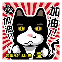 Bibi cat have a runny nose. One