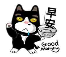 Bibi cat have a runny nose. One sticker #12973326