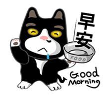 Bibi cat have a runny nose. One sticker #12973326