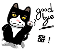 Bibi cat have a runny nose. One sticker #12973328