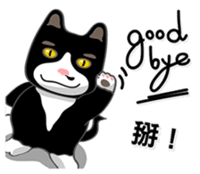 Bibi cat have a runny nose. One sticker #12973328