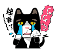 Bibi cat have a runny nose. One sticker #12973331