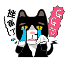 Bibi cat have a runny nose. One sticker #12973331