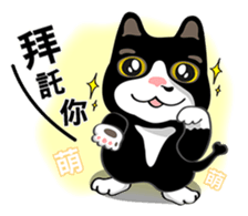 Bibi cat have a runny nose. One sticker #12973333