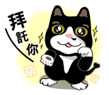 Bibi cat have a runny nose. One sticker #12973333