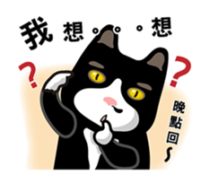 Bibi cat have a runny nose. One sticker #12973334