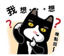 Bibi cat have a runny nose. One sticker #12973334