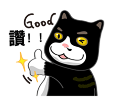 Bibi cat have a runny nose. One sticker #12973335