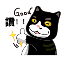 Bibi cat have a runny nose. One sticker #12973335